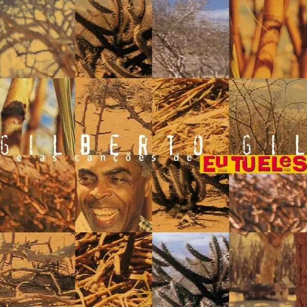 Pochette de As canções de eu, tu, eles
