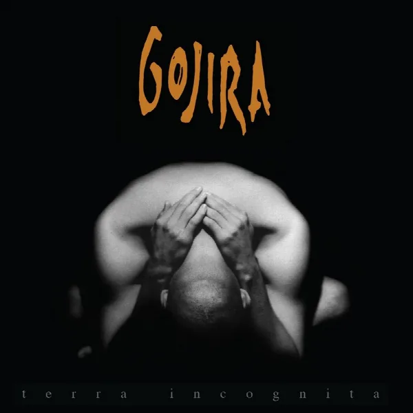 Pochette de Terra Incognita