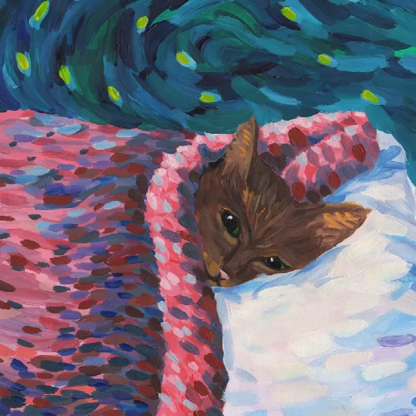 Pochette de Sleepyhead