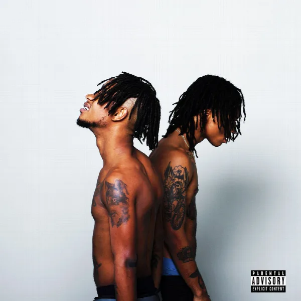 Pochette de SremmLife 2
