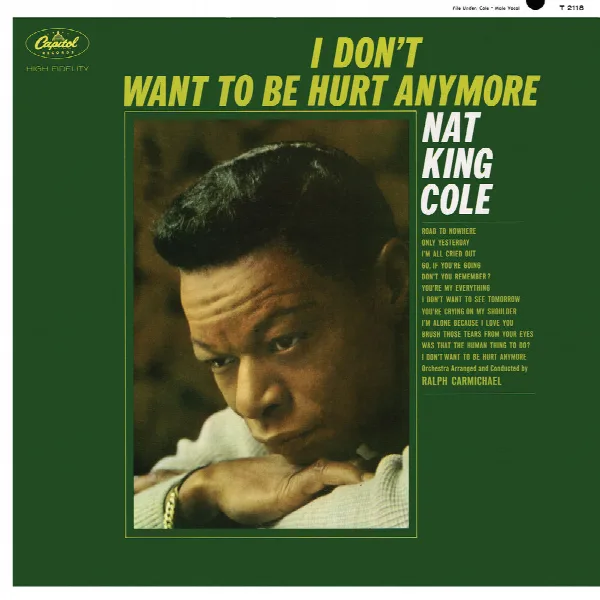 Pochette de I Don't Want To Be Hurt Anymore