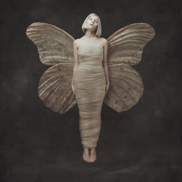Pochette de All My Demons Greeting Me As A Friend (Deluxe)
