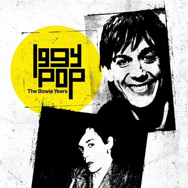 Pochette de The Bowie Years