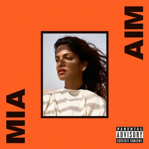 Pochette de AIM (Deluxe)