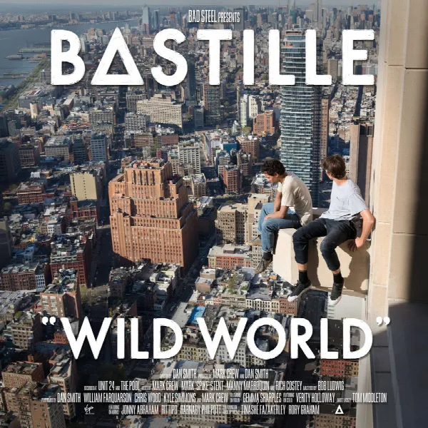 Pochette de Wild World