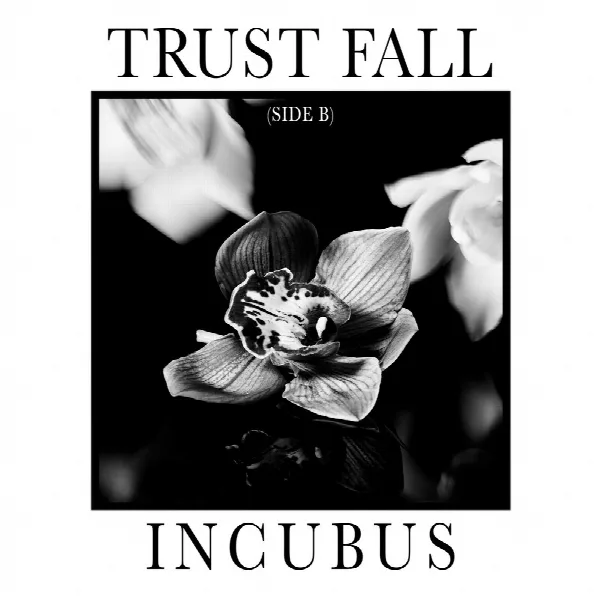 Pochette de Trust Fall (Side B)