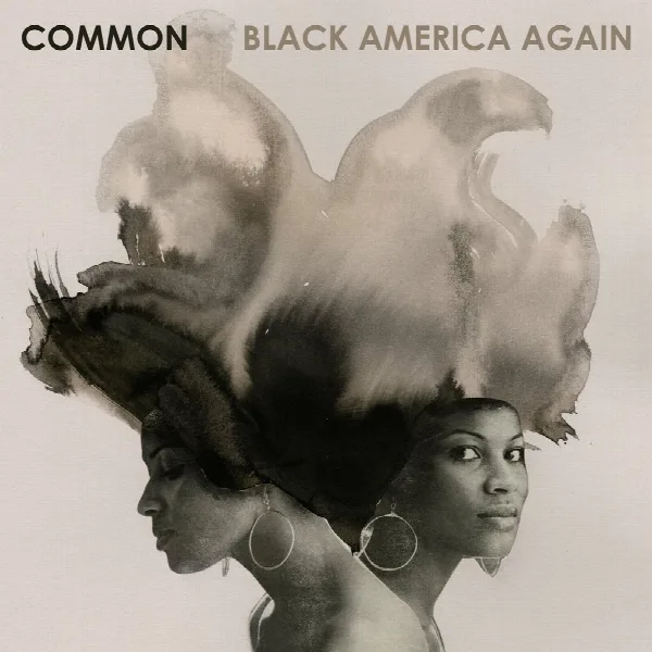Pochette de Black America Again