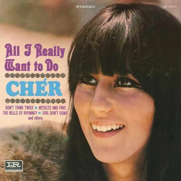 Pochette de All I Really Want To Do