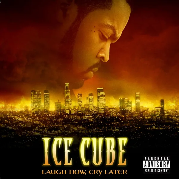 Pochette de Laugh Now, Cry Later