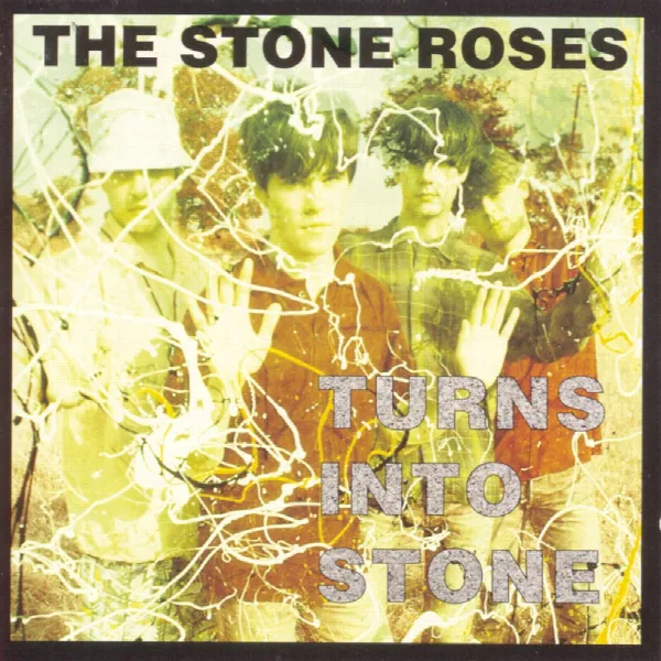Pochette de Turns Into Stone