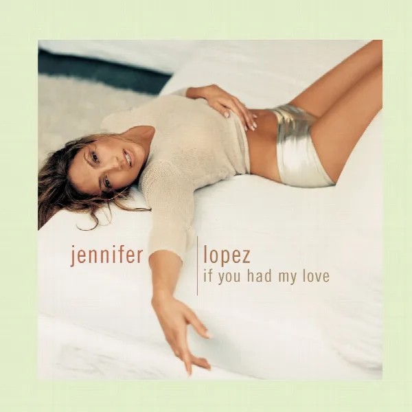 Pochette de If You Had My Love