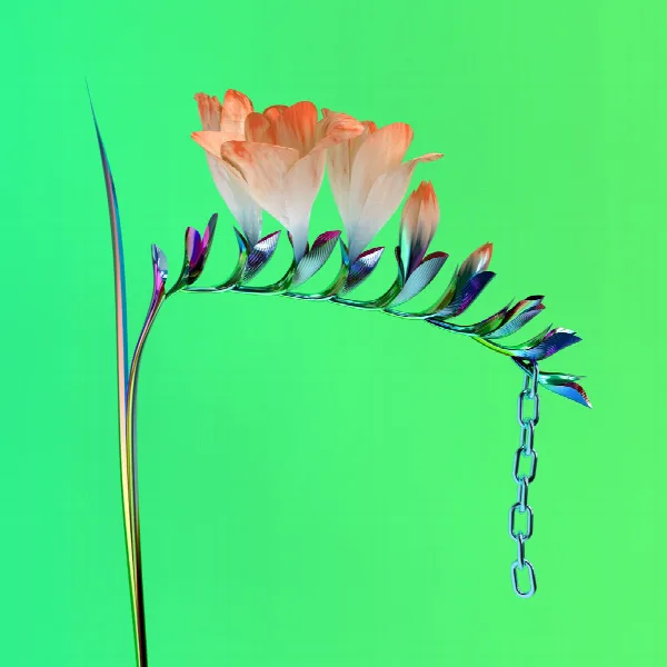 Pochette de Skin Companion EP I
