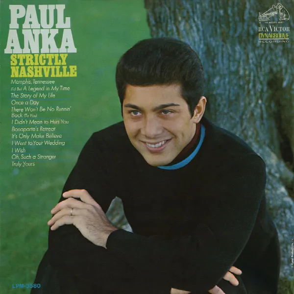 Pochette de Strictly Nashville