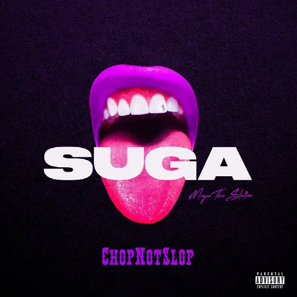 Pochette de Suga (Chopnotslop Remix)