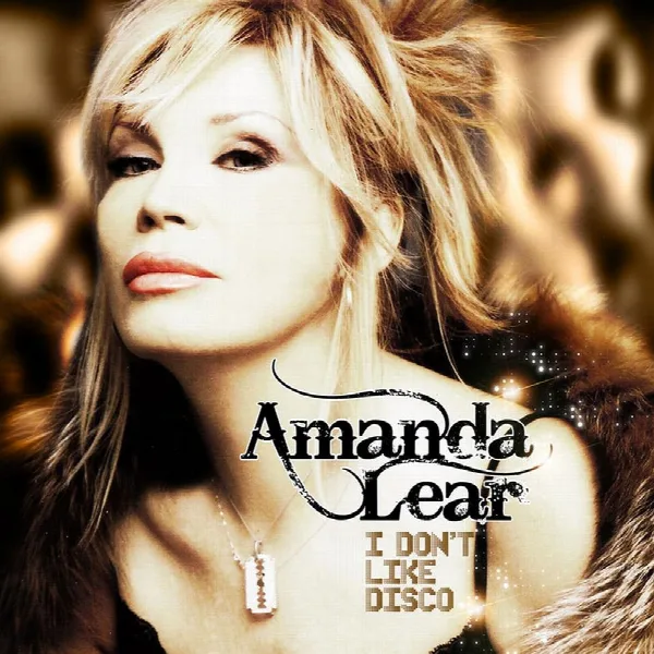 Pochette de I Don't Like Disco