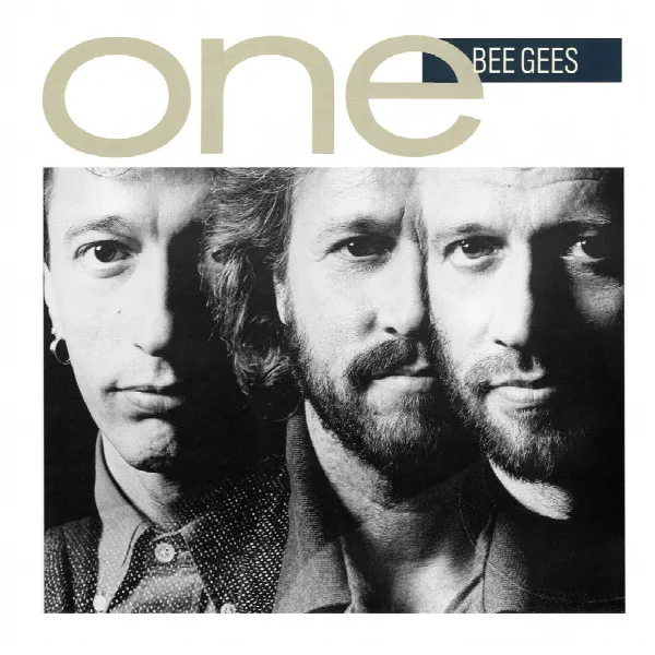 Pochette de One