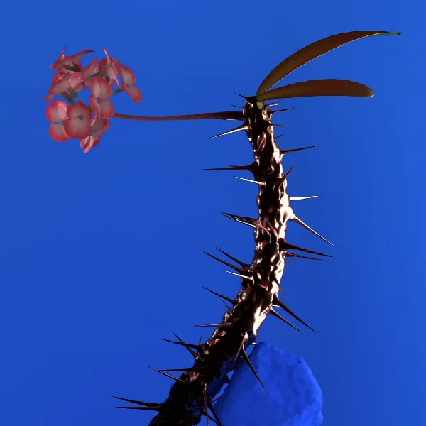 Pochette de Skin Companion EP II
