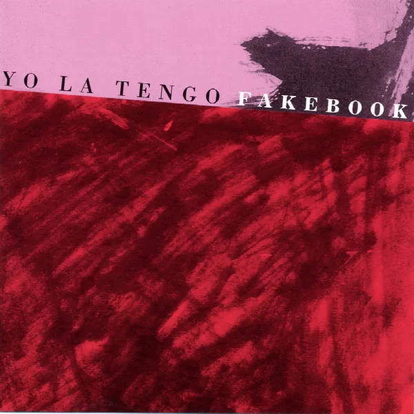 Pochette de Fakebook