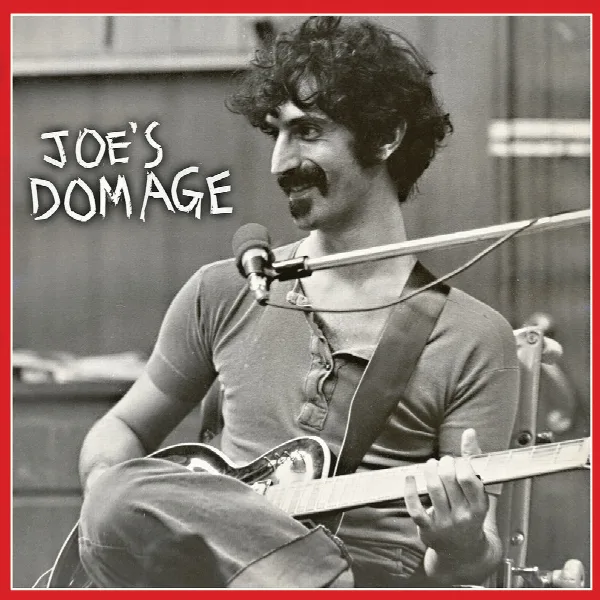 Pochette de Joe's Domage