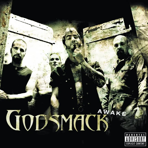 Pochette de Awake