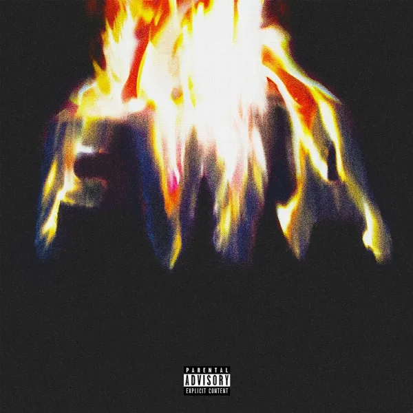 Pochette de FWA