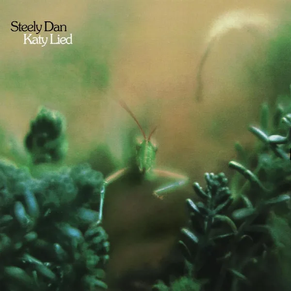 Pochette de Katy Lied
