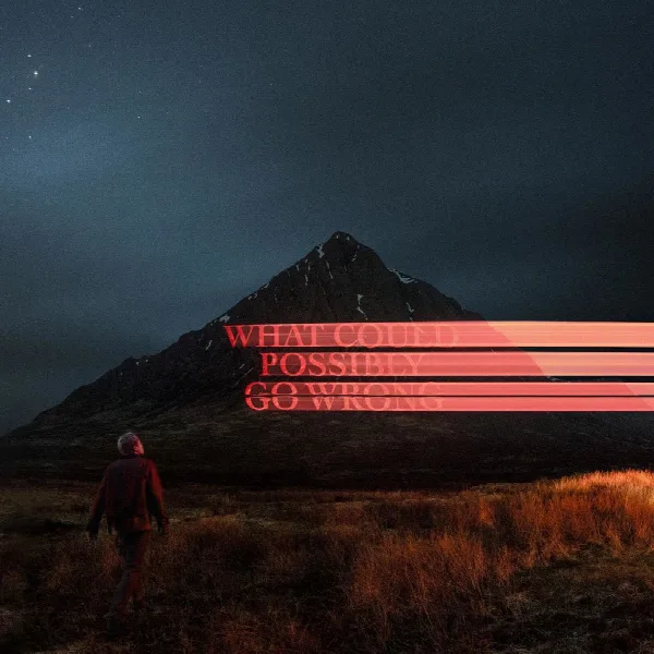 Pochette de What Could Possibly Go Wrong