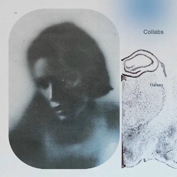 Pochette de Collabs