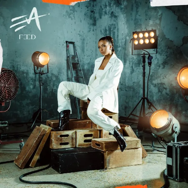 Pochette de Feed