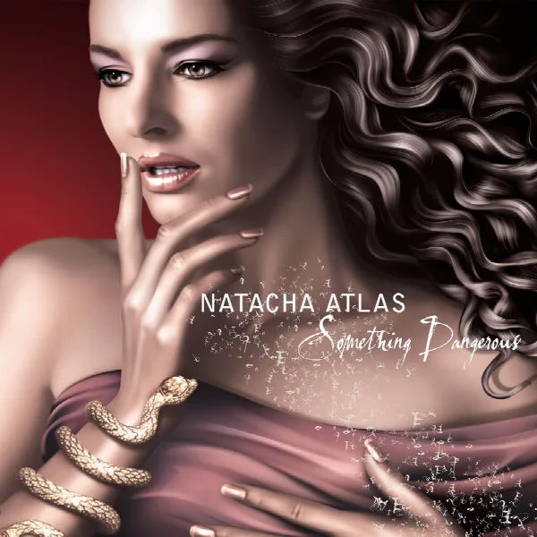 Pochette de Something Dangerous