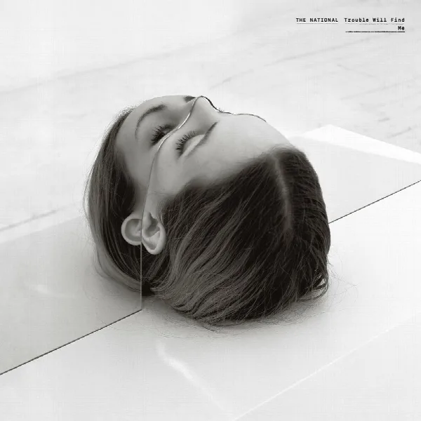 Pochette de Trouble Will Find Me