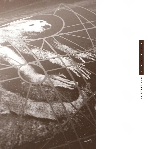 Pochette de Doolittle 25: B-Sides, Peel Sessions And Demos