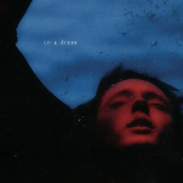 Pochette de In A Dream