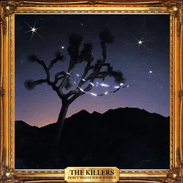 Pochette de Don't Waste Your Wishes