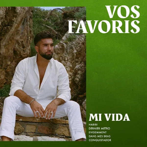 Pochette de Mi vida : Vos favoris