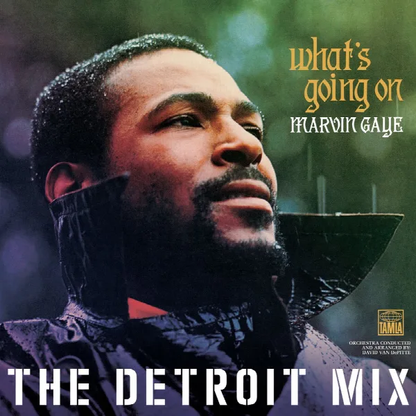 Pochette de What’s Going On: The Detroit Mix