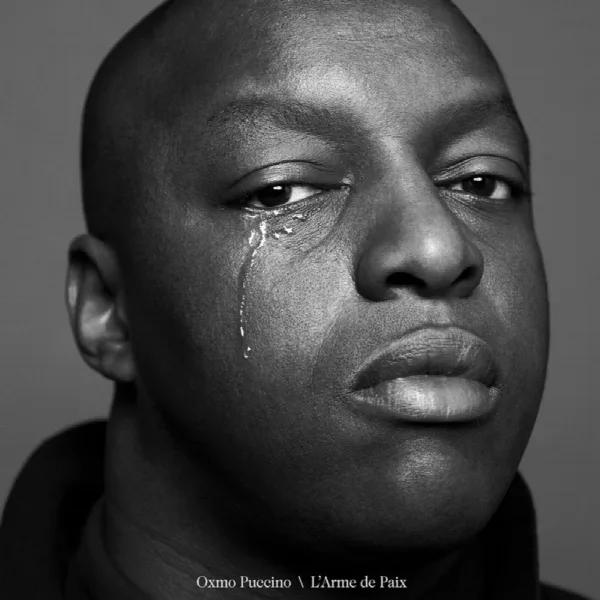 Pochette de L'arme de paix