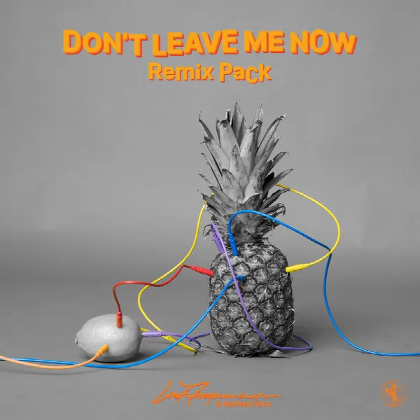 Pochette de Don't Leave Me Now (Remix Pack)
