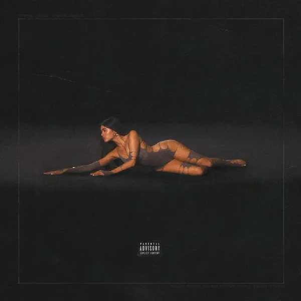 Pochette de Life Support