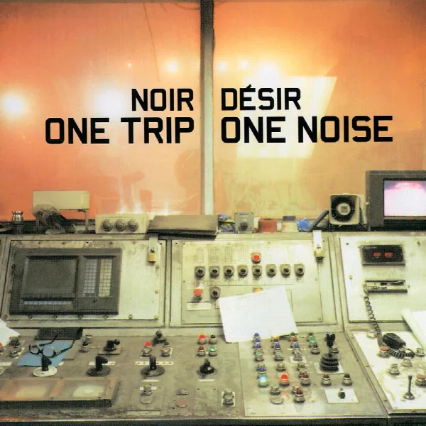 Pochette de One Trip One Noise