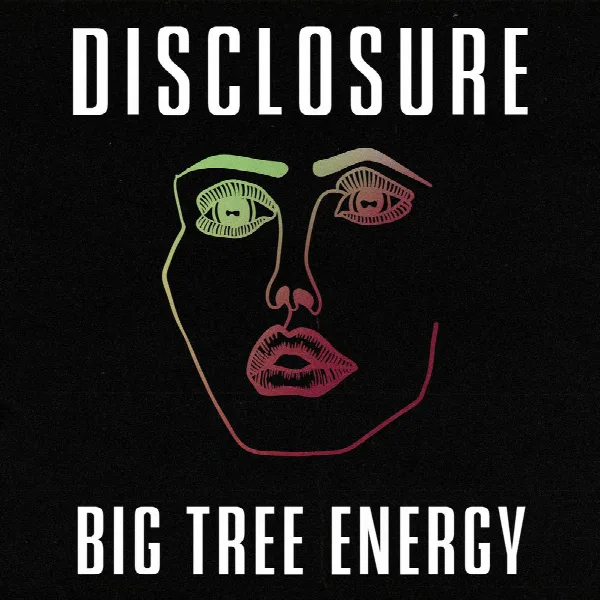 Pochette de Big Tree Energy