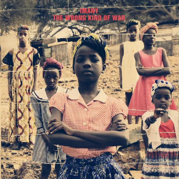 Pochette de The Wrong Kind of War