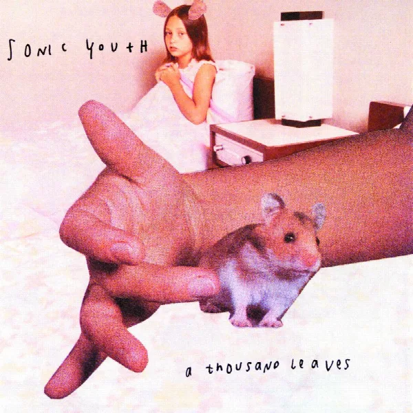 Pochette de A Thousand Leaves