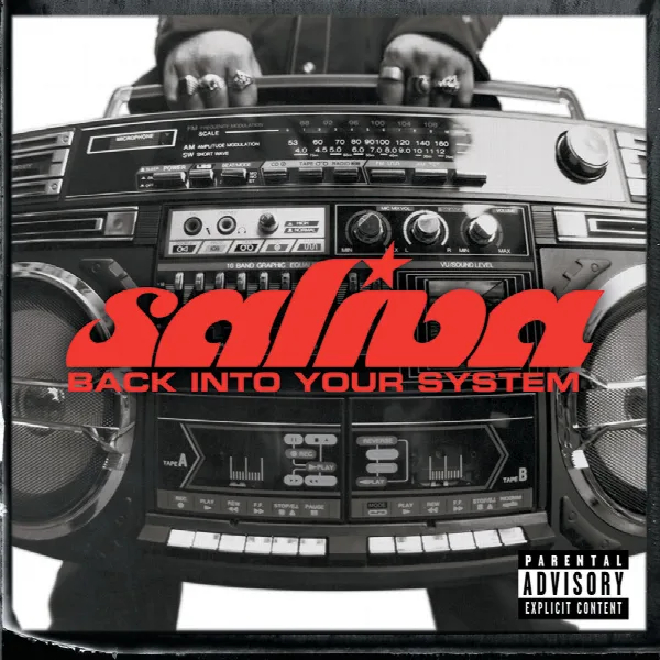 Pochette de Back Into Your System