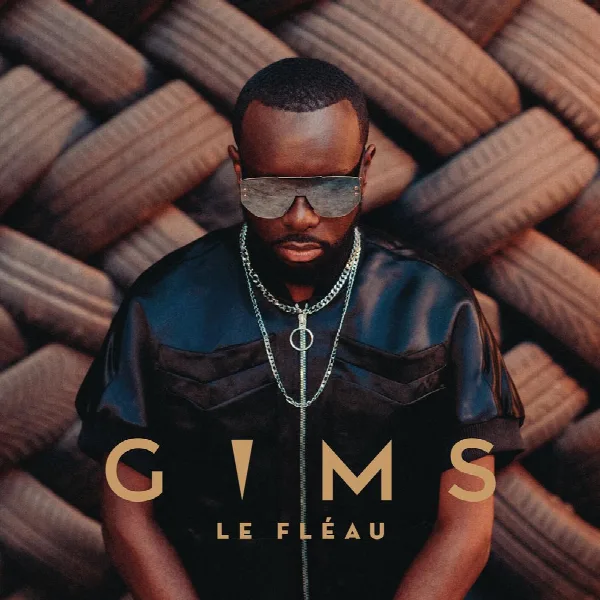 Pochette de LE FLÉAU