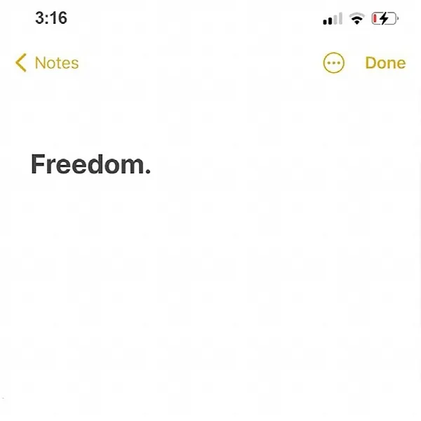 Pochette de Freedom.