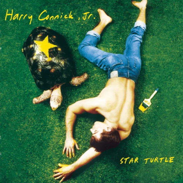 Pochette de Star Turtle