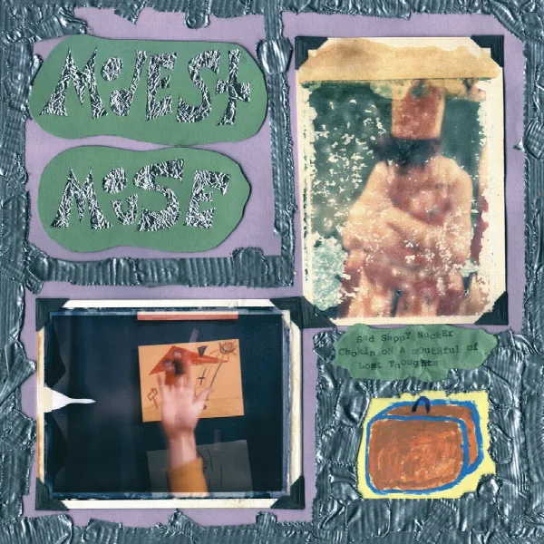 Pochette de Sad Sappy Sucker