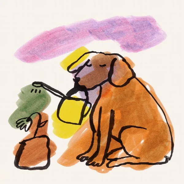 Pochette de Man’s Best Friend