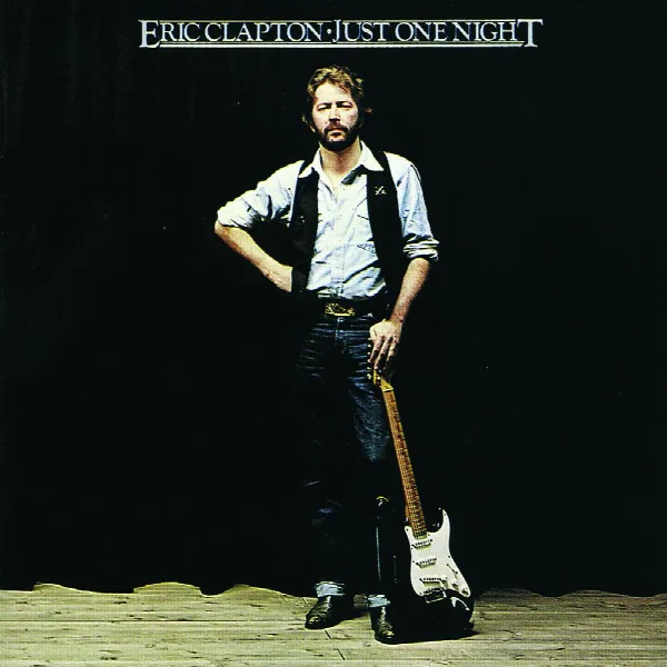 Pochette de Just One Night